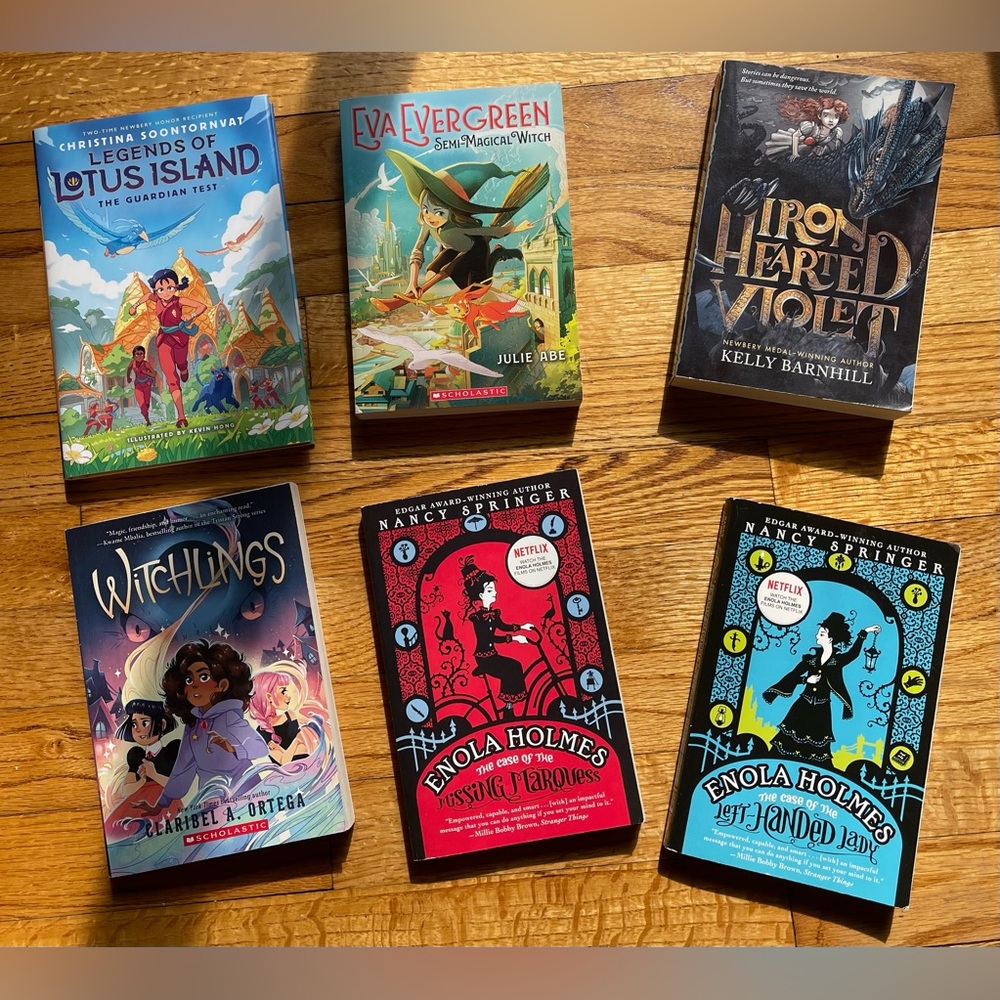 Fiction Chapter Books Set 6 Books